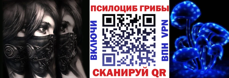Псилоцибиновые грибы Psilocybine cubensis  Купить закладки  Кунгур 