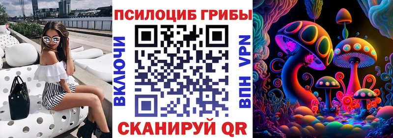 Галлюциногенные грибы Psilocybine cubensis Кунгур
